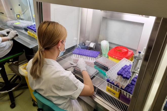 V soboto potrdili 260 okužb z novim koronavirusom