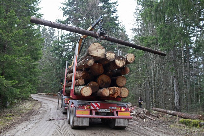 Goljufive prakse odkupovalcev lesa v gozdovih