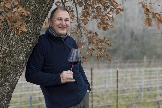 #intervju Iztok Klenar, enolog, vinogradnik in vinar: Istra bo znana po bogatih rdečih vinih