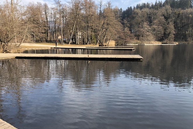 Cvetenje jezera: Rib in ptic v Blejskem jezeru se ne sme hraniti