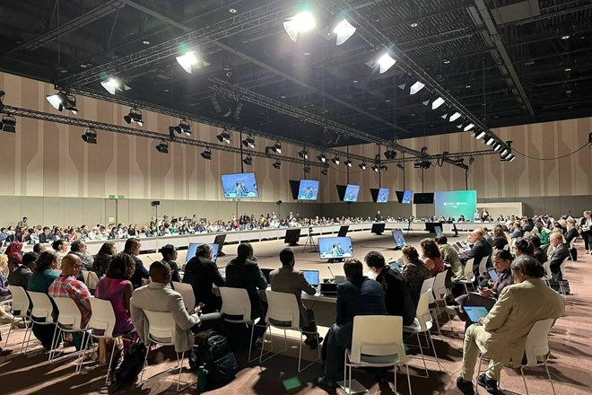 Podnebni vrh COP28: V pričakovanju »zgodovinskega« dubajskega sporazuma