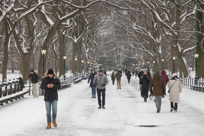 Ob valu mrzlega vremena v New Yorku prvič po 700 dneh zapadel sneg