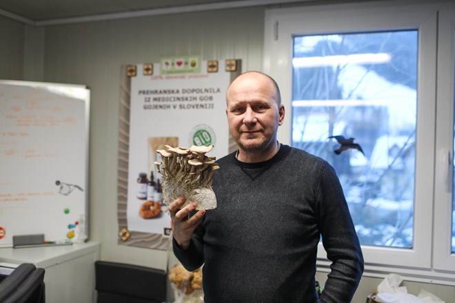 #intervju Andrej Gregori, biotehnolog: Gobe so začimba in zdravilo