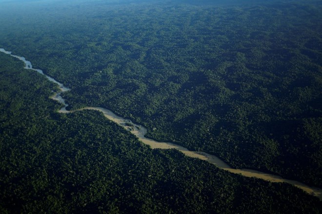Lani nekoliko manjše izgube tropskega pragozda, večje izgube gozda drugod po svetu