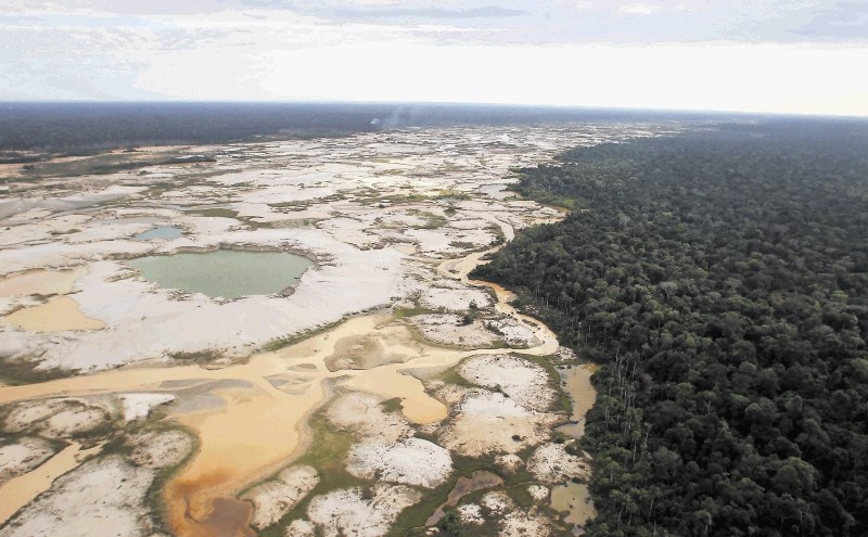 Deutschland friert Geld wegen brasilianischer Abholzung ein