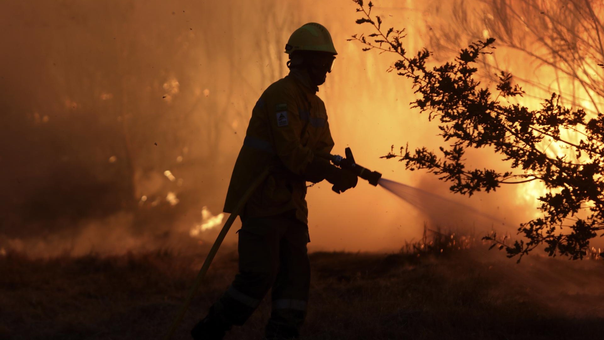 Incêndios continuam a assolar Portugal