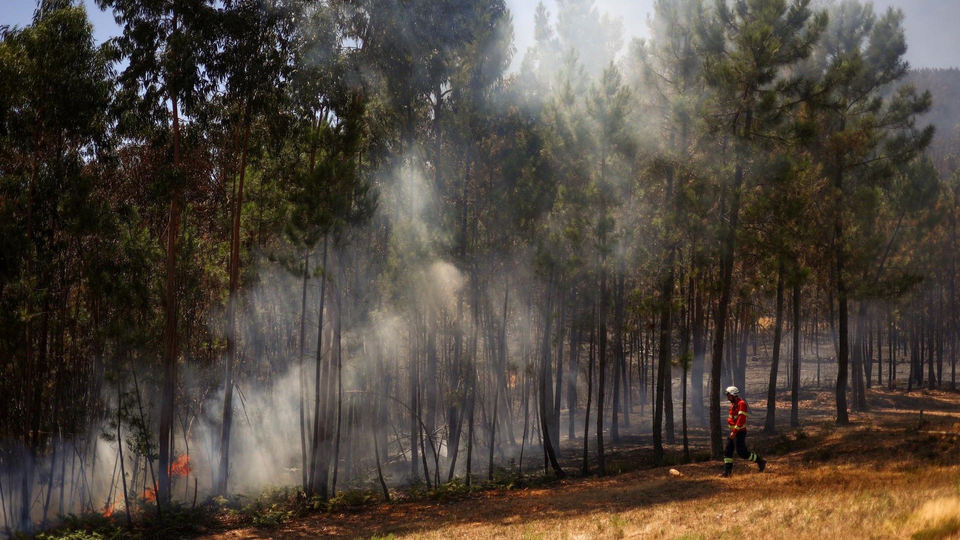 Em Portugal, mais de 1.000 pessoas foram evacuadas devido a incêndios florestais