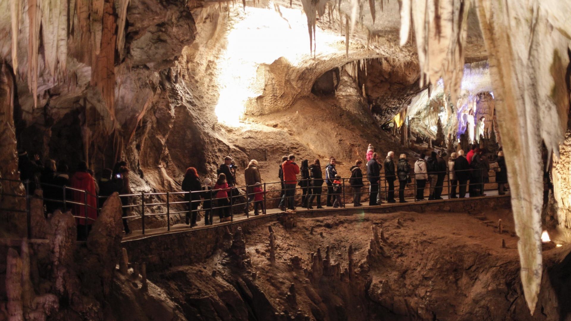 Omejitev obiska v jami, manj za Batagelja?