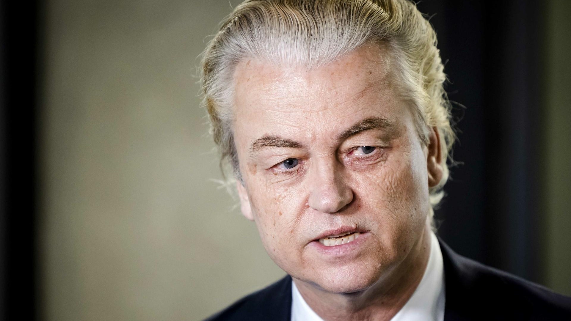 Nizozemska: Wildersova koalicija začenja pogajanja o predsedniku vlade