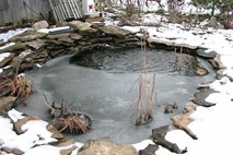 S pravilnim vzdrževanjem bo ribnik dobro prestal zimo