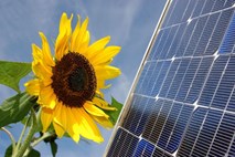 Bo sončna energija v prihodnje pomembnejša od vodne?