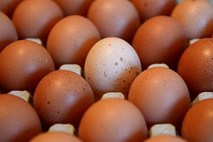 Z dioksinom je zastrupljena več kot četrtina pregledanih jajc v Nemčiji