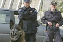 Policija za nadzor nezakonitih vstopov v državo za 800 tisoč evrov kupila 20 vozil