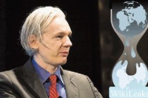 Assange: Na vzporedni sistem spravljamo kopije dokumentov