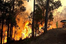 Požara na zahodu Avstralije uničila številne domove, več sto ljudi je zapustilo svoje domove