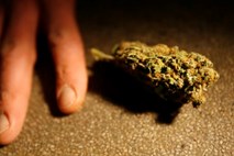 Raziskava: Uživanje marihuane poveča nevarnost simptomov psihoze