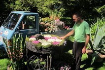 V Mozirskem gaju razstava s cvetjem okrašenih odsluženih avtomobilov