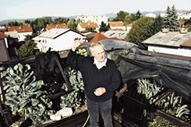 Dr. Gojko Stanič: Tovarne delavcem, zemljo kmetom