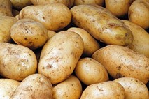 Ameriški senat je odločil: Krompir ostaja