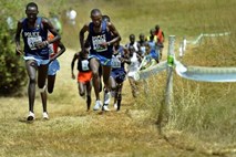 V Južnoafriški republiki vinjeni voznik s svojim terencem ubil pet maratoncev