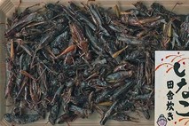 Gad v žganju in desetletja stara ribja omaka: Jedi, ki jih še Japonci ne pojedo zlahka
