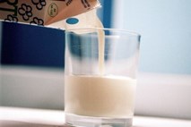 V mleku odkrili rakotvorni strup aflatoksin