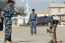 Ni sledu o kakšni demokraciji: Irak drsi v avtoritarizem in policijsko državo