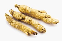 Imunost  in  ginseng