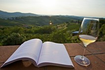 Leta 2010 je Slovenec v povprečju spil 38 litrov vina