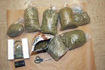 Zaradi prijave nasilja nad materjo policisti našli kilogram marihuane in štiri sadike