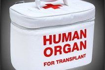 Tožilec: V Izraelu aretirali glavnega organizatorja preprodaje človeških organov