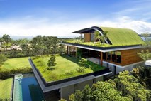 Z "zeleno" streho je hiša do 84 odstotkov hladnejša