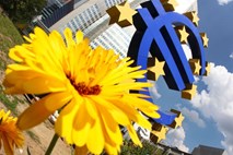 Arharjeva pričakovanja po najnovejši odločitvi ECB niso velika