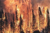 Največji požari na zemeljski obli