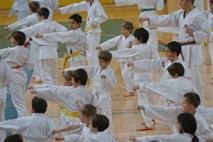 Glavni trener  postojnskega kluba naj bi spolno nadlegoval šest mladih karateistk