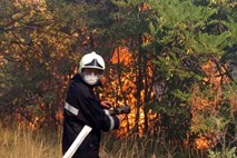 Na nedostopnem terenu v občini Osilnica zagorel gozd, gasilci se z ognjem še borijo