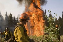 Požari po Sredozemlju preganjajo turiste in uničujejo pašnike