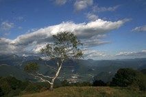 Reševalci, psi, helikopter: Že od sobote iščejo izgubljenega slovaškega planinca