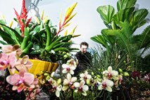 Lesarji, informatiki, kuharji, cvetličarji na Euroskills 2012