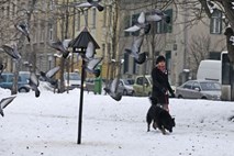 Sneg zasul Slovenijo: zimsko vreme tudi v prihodnjih dneh