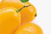Drobne pomaranče za v koktajle