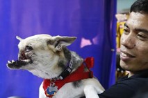 Junaško psičko s posebnimi častmi sprejeli na rodnih Filipinih (foto in video)