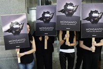 V soboto protest proti Monsantu in gensko spremenjenim organizmom