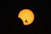 Čudovite podobe hibridnega Sončevega mrka (foto)