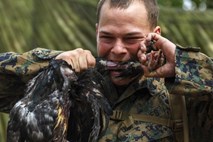 Usposabljanje: Marinci z zobmi ubili piščanca, kobri pa izpili kri (foto)