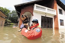 Beograd se je izognil poplavam