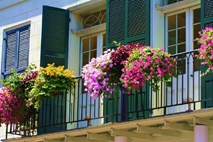 S primernimi rastlinami ustvarite rajski cvetoči balkon   