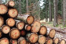 Lesna industrija je daleč od nekdaj paradnega konja gospodarstva  
