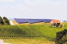 Sončne elektrarne na kmetijah nezaželene? 