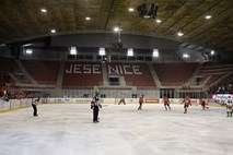 Železarji gradijo novo poglavje jeseniškega hokeja: s postopnim napredkom želijo nazaj v Ebel